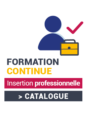 Catalogue formation continue Insertion professionnelle (.pdf, 6,4 Mo)