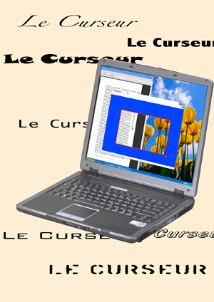 Visuel du logiciel "Le Curseur"